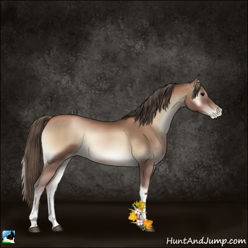 Horse Color:Blue Onyx Pearl Tobiano 