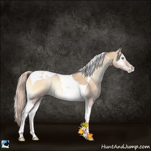 Horse Color:Palomino Pearl Onyx Tobiano 