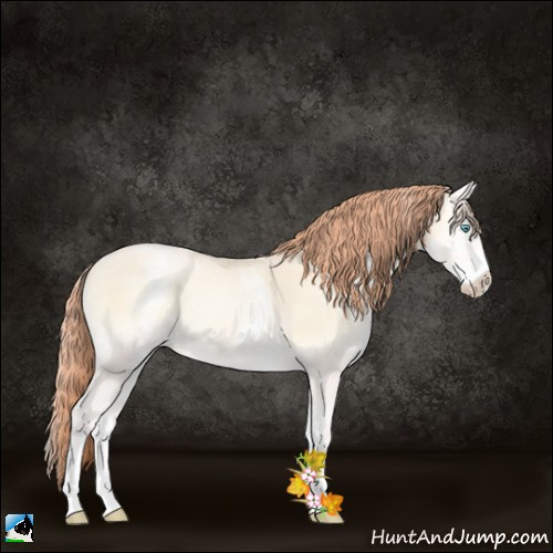 Horse Color:White Spotted Amber Cream Champagne Pearl Onyx 