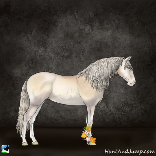 Horse Color:Palomino Pearl Onyx