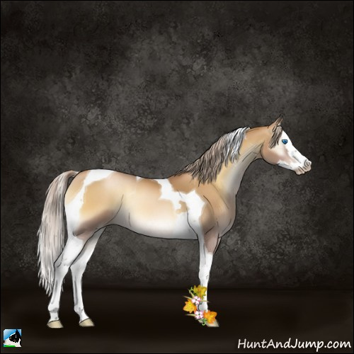 Horse Color:Gray Palomino Pearl Onyx Splash Tobiano 