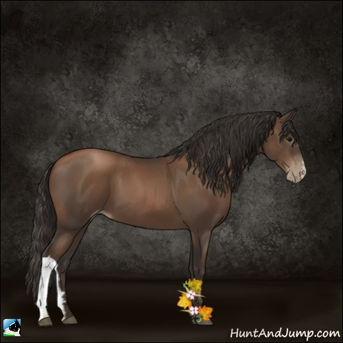 Horse Color:Gray Black Pearl 