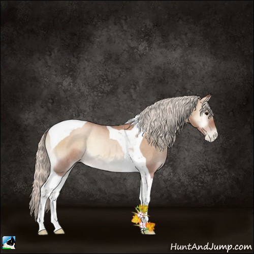 Horse Color:Silver Blue Onyx Roan Pearl Tobiano 