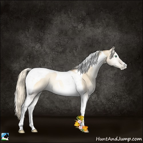 Horse Color:Palomino Pearl Onyx Tobiano 