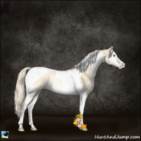 Horse Color:Palomino Pearl Onyx Tobiano 