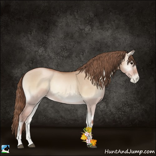 Horse Color:Grullo Pearl Onyx 