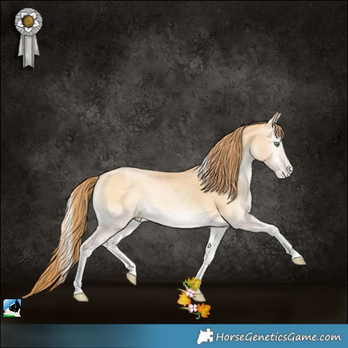 Horse Color:Buckskin Pearl Onyx Tobiano 