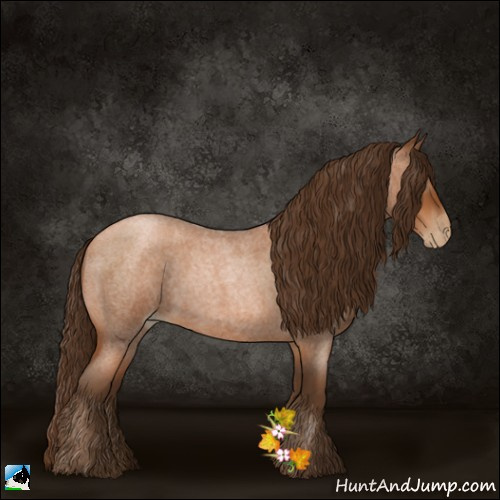 Horse Color:Gray Bay Roan Pearl 