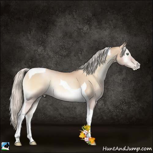 Horse Color:Palomino Pearl Onyx Tobiano 