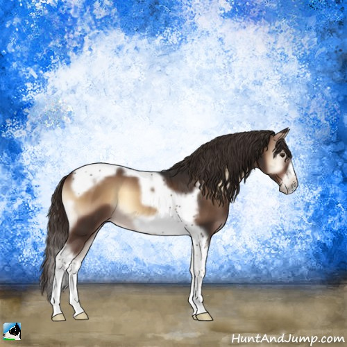 Horse Color:Liver Red Onyx Tobiano Frame 