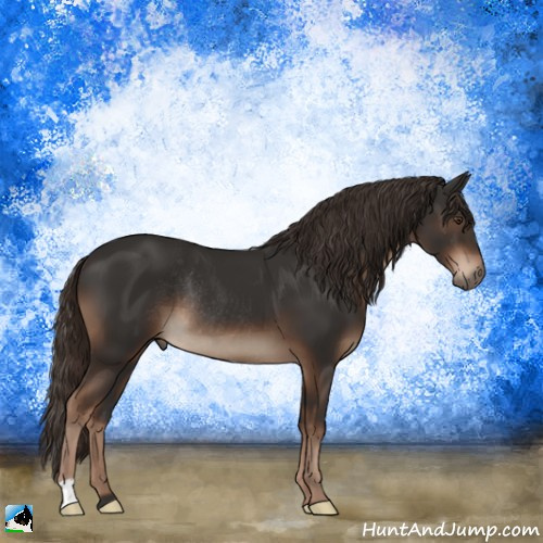 Horse Color:Liver Chestnut Rabicano 