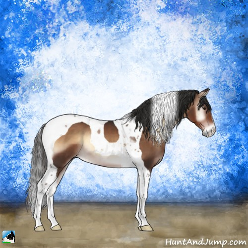 Horse Color:Liver Red Onyx Tobiano 