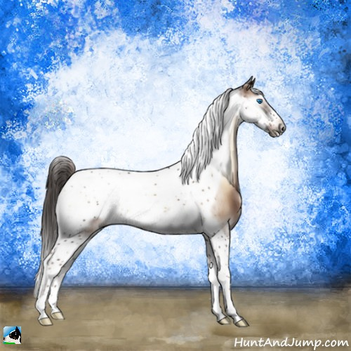 Horse Color:Liver Red Onyx Tobiano Frame 