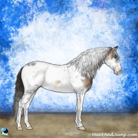 Horse Color:Liver Red Onyx Tobiano Frame 