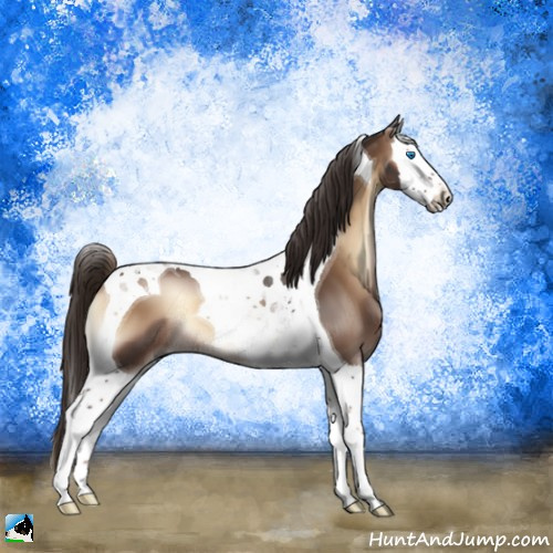 Horse Color:Liver Red Onyx Splash Tobiano 