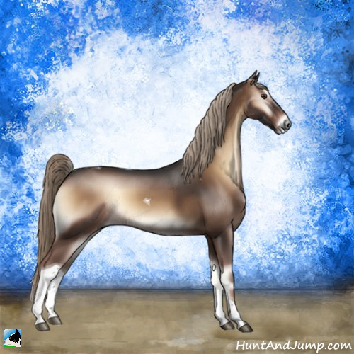 Horse Color:Liver Red Onyx Tobiano