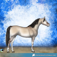 Horse Color:Liver Red Dun Onyx Tobiano Rabicano