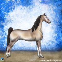 Horse Color:Liver Red Dun Onyx Tobiano Rabicano 