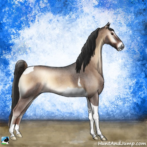 Horse Color:Liver Red Onyx Roan Tobiano 