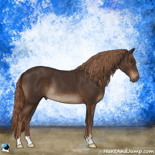 Horse Color:Liver Chestnut Sabino Rabicano 