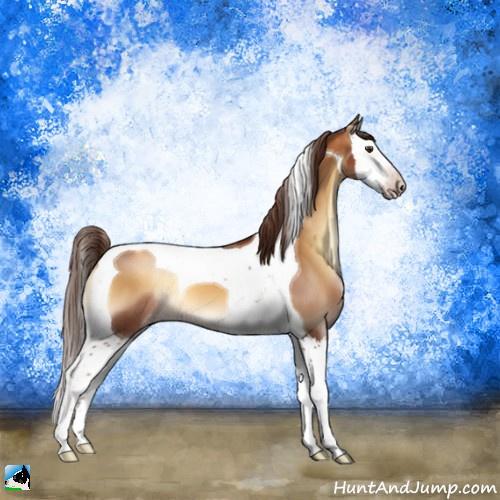 Horse Color:Gray Gold Champagne Onyx Splash Tobiano 