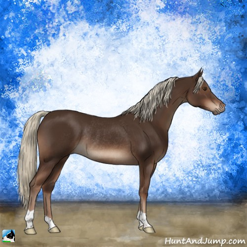 Horse Color:Liver Chestnut Rabicano 
