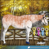 Horse Color:White Spotted Bay Splash  and White Spotted Bay Splash 