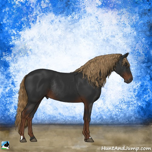 Horse Color:Gray Liver Chestnut Rabicano 