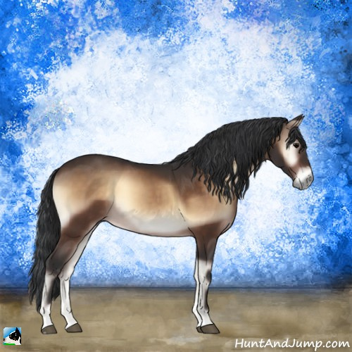 Horse Color:Brown Onyx Sabino 