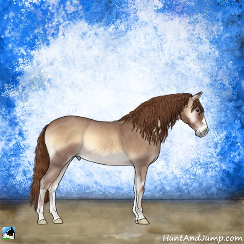 Horse Color:Red Onyx Roan 