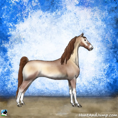 Horse Color:Red Onyx Roan 