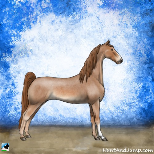 Horse Color:Red Roan 