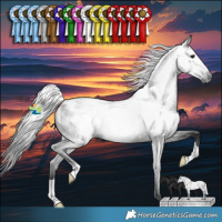 Horse Color:Gray Black Blanket Rabicano 