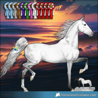 Horse Color:Gray Black Appaloosa Rabicano 