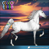 Horse Color:Gray Black Appaloosa Rabicano 