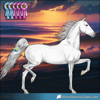 Horse Color:Gray Blue Roan Splash Appaloosa Rabicano 