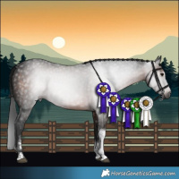 Horse Color:Gray Brown Tobiano