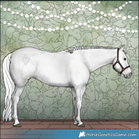 Horse Color:Gray Bay Dun 
