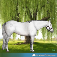 Horse Color:Gray Brown Tobiano Varnish  and Brown Dun 