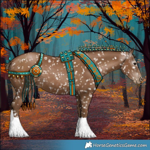 Horse Color:Gray Black Pearl Appaloosa 