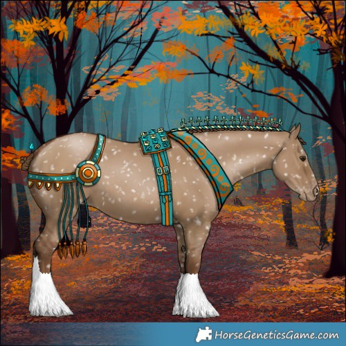 Horse Color:Gray Grullo Pearl Appaloosa