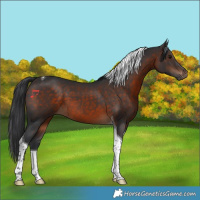 Horse Color:Brown Tobiano 