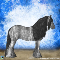 Horse Color:Black Ice Rabicano 