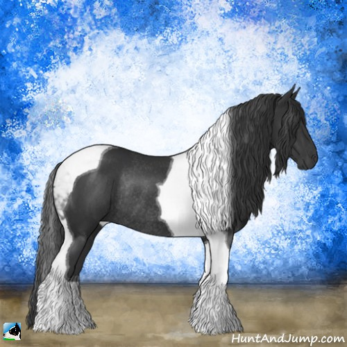 Horse Color:Black Tobiano Rabicano 