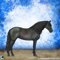 Horse Color:Black Mushroom 