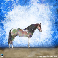 Horse Color:Nacre Blue Onyx Sabino Tobiano Rabicano