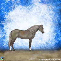 Horse Color:Silver Grullo Sabino 