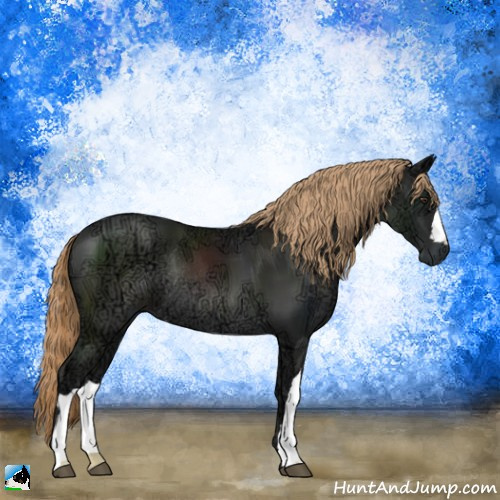 Horse Color:Liver Chestnut Ice Rabicano 
