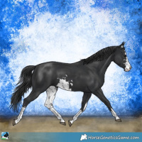 Horse Color:White Spotted Black Mushroom 