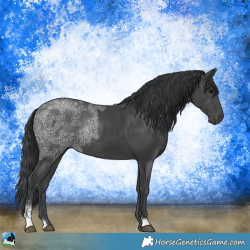 Horse Color:Black Ice Sabino Rabicano